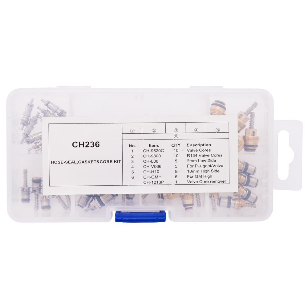Set ventile aer conditionat CH236 Prompt Service Clima - Prompt Service