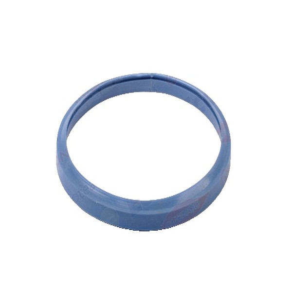 Garnitură pentru instant pe gaz Ariston R303 ECS, R603 RMX STANDARD cod piesa 11001556