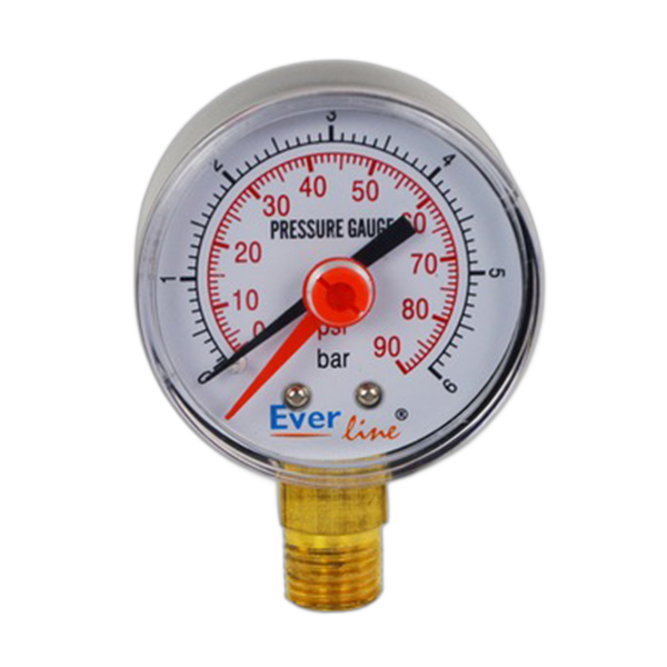 Manometru apa aer vertical 6 bar, Everline - Prompt Service