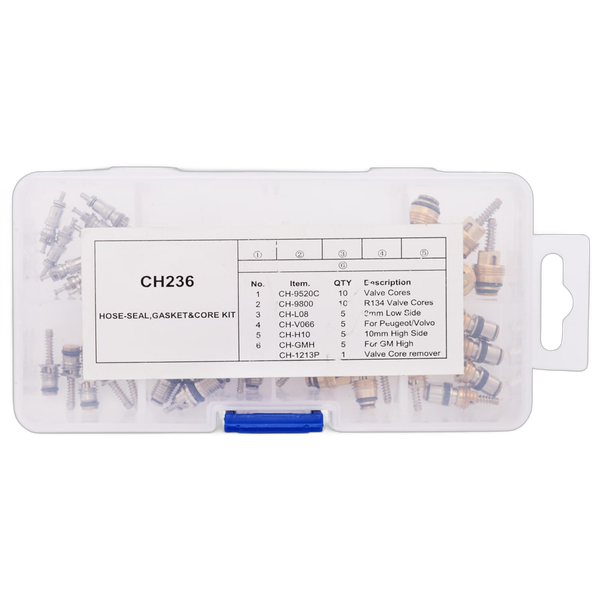 Set ventile aer conditionat CH236 Prompt Service Clima - Prompt Service