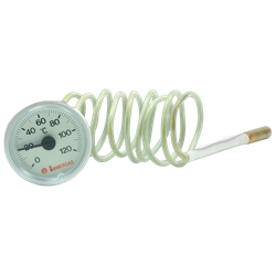Termometru pentru centrala termica Immergas ZEUS, cod piesa 1.023628